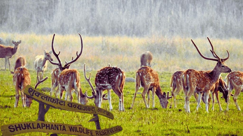 Nepal’s Hidden National Parks 